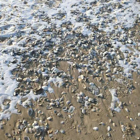 Haus Kieferneck Apartment *