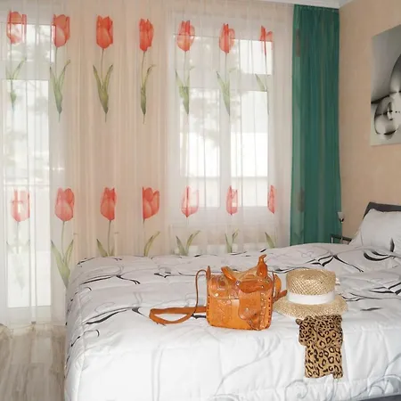 Haus Kieferneck Apartment