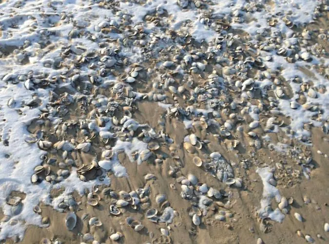 Haus Kieferneck Апартаменты *